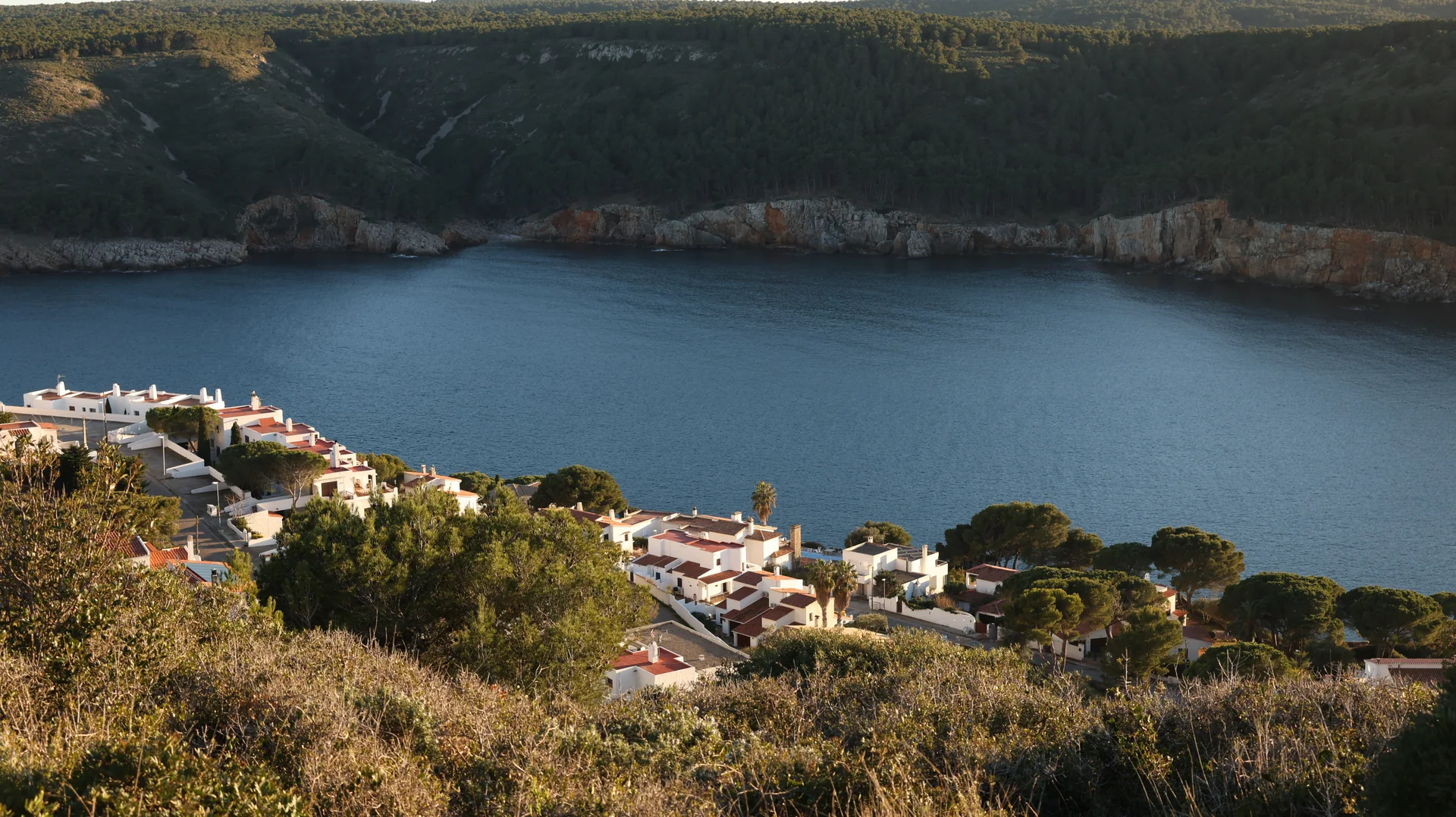 Cala Montgó in L’Escala: beach, blue sea and pine trees